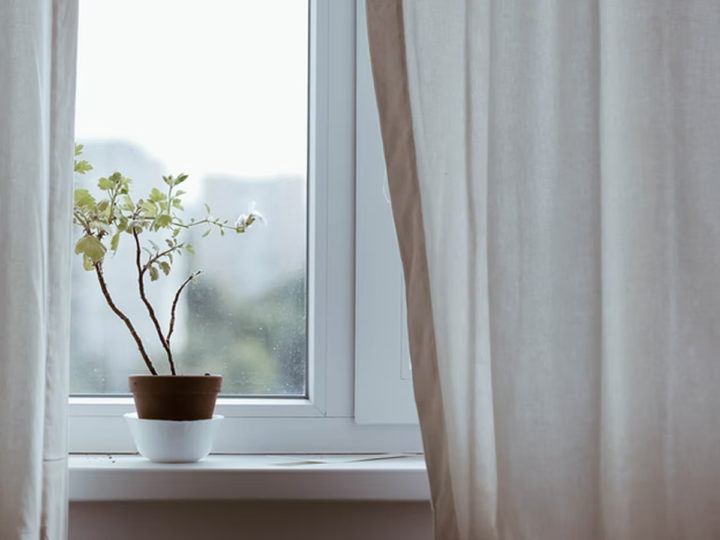 La luz que las plantas necesitan