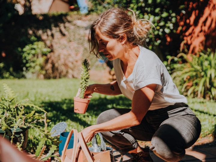 Cuidar las plantas del calor