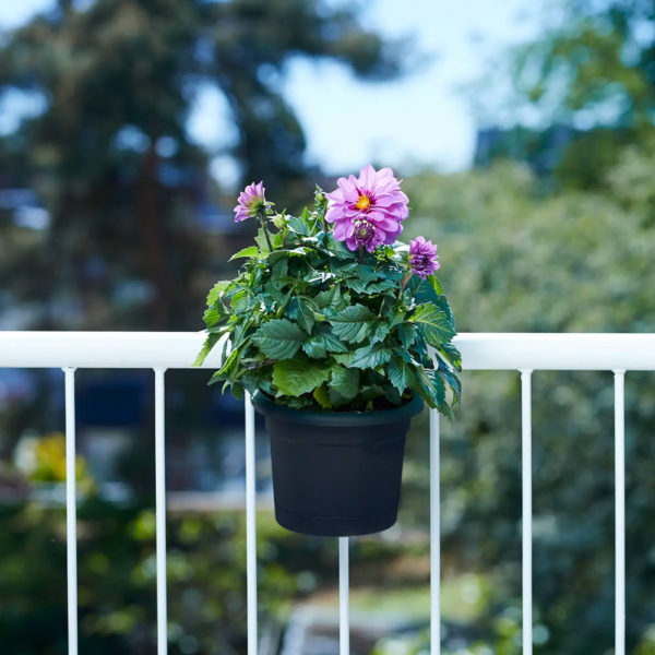 balcon-miniplanta3