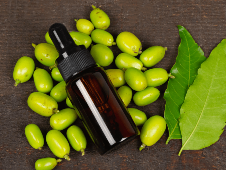 Aceite de neem – El insecticida natural