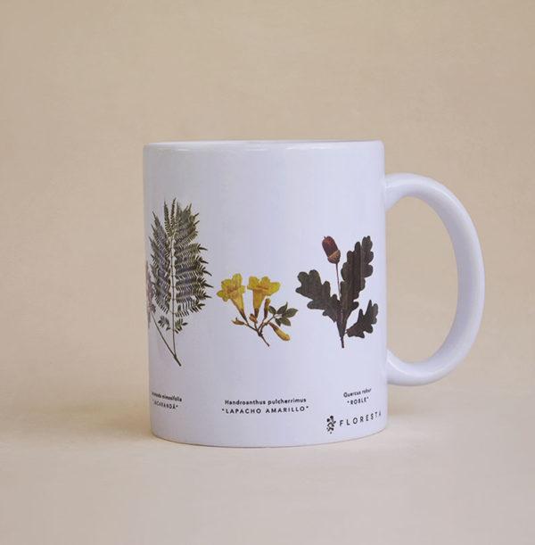 FLORESTA_TAZA_MONT_1